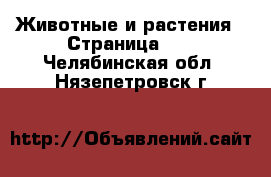  Животные и растения - Страница 11 . Челябинская обл.,Нязепетровск г.